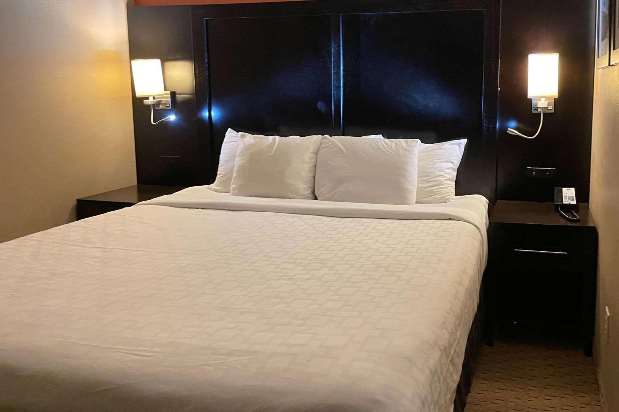 אוונסוויל Clarion Inn & Suites מראה חיצוני תמונה